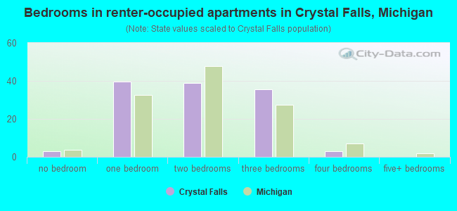 Bedrooms in renter-occupied apartments in Crystal Falls, Michigan