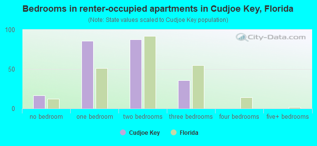 Bedrooms in renter-occupied apartments in Cudjoe Key, Florida