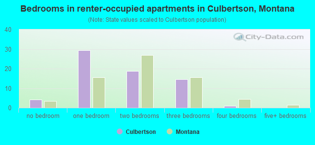 Bedrooms in renter-occupied apartments in Culbertson, Montana
