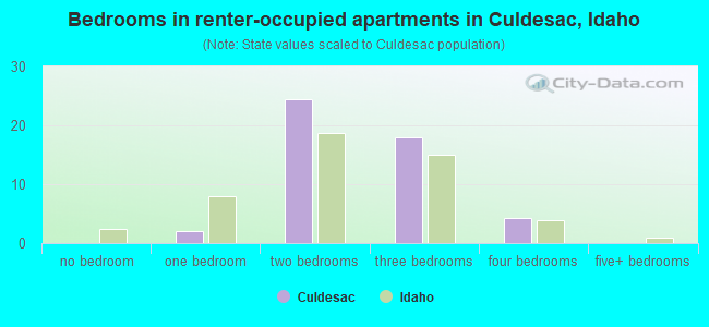 Bedrooms in renter-occupied apartments in Culdesac, Idaho