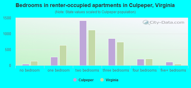Bedrooms in renter-occupied apartments in Culpeper, Virginia