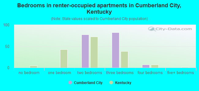 Bedrooms in renter-occupied apartments in Cumberland City, Kentucky