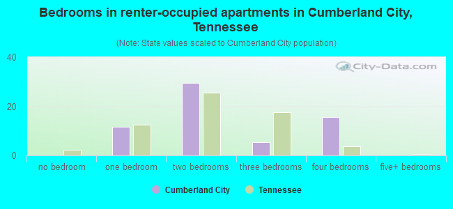 Bedrooms in renter-occupied apartments in Cumberland City, Tennessee