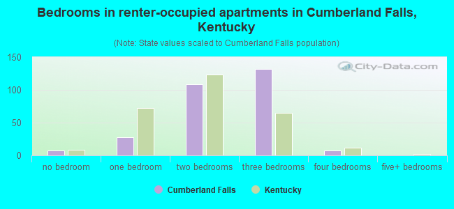 Bedrooms in renter-occupied apartments in Cumberland Falls, Kentucky