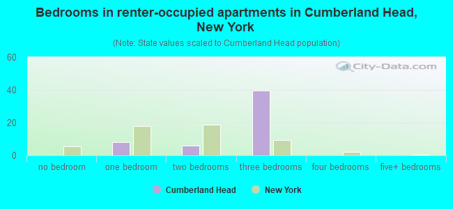 Bedrooms in renter-occupied apartments in Cumberland Head, New York