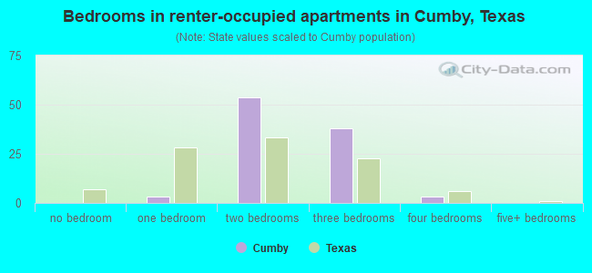 Bedrooms in renter-occupied apartments in Cumby, Texas
