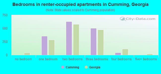 Bedrooms in renter-occupied apartments in Cumming, Georgia