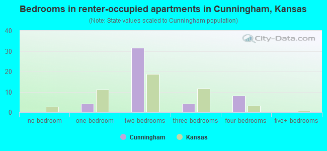 Bedrooms in renter-occupied apartments in Cunningham, Kansas