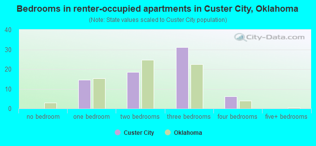 Bedrooms in renter-occupied apartments in Custer City, Oklahoma