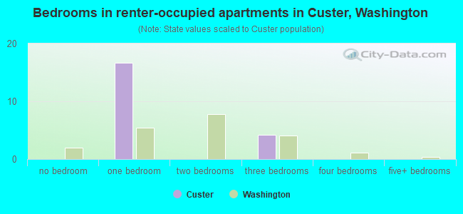 Bedrooms in renter-occupied apartments in Custer, Washington