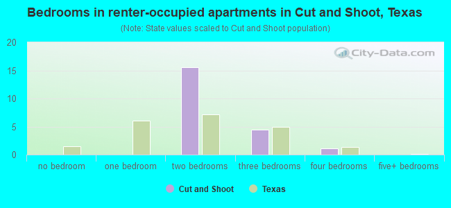 Bedrooms in renter-occupied apartments in Cut and Shoot, Texas