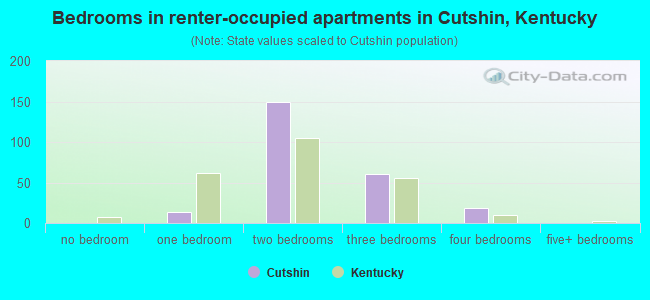 Bedrooms in renter-occupied apartments in Cutshin, Kentucky