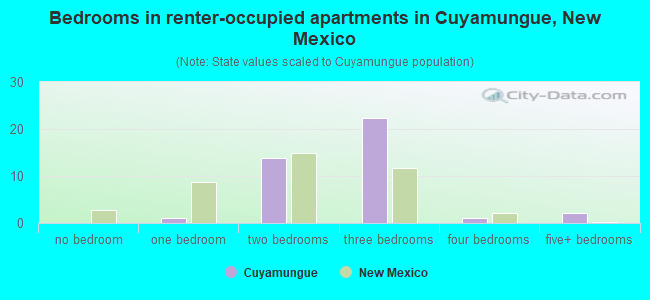 Bedrooms in renter-occupied apartments in Cuyamungue, New Mexico