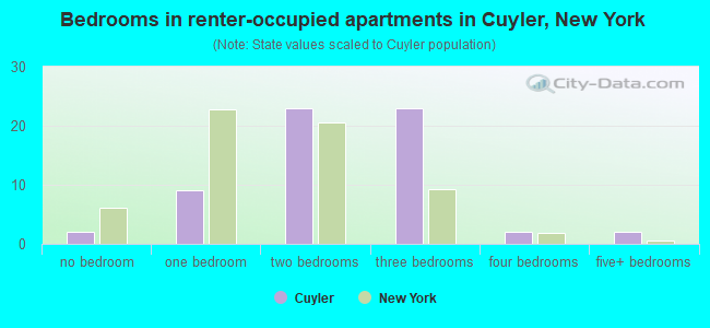 Bedrooms in renter-occupied apartments in Cuyler, New York