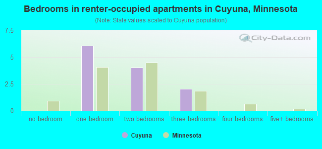 Bedrooms in renter-occupied apartments in Cuyuna, Minnesota