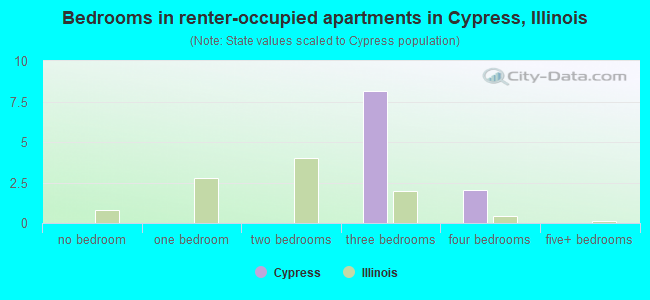 Bedrooms in renter-occupied apartments in Cypress, Illinois