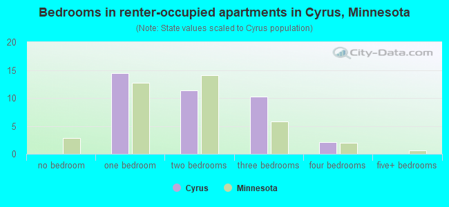Bedrooms in renter-occupied apartments in Cyrus, Minnesota