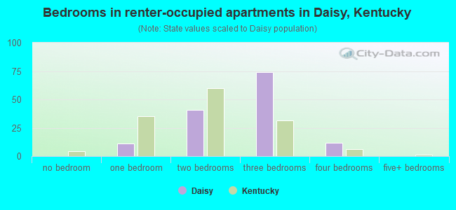 Bedrooms in renter-occupied apartments in Daisy, Kentucky