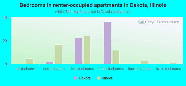 Bedrooms in renter-occupied apartments in Dakota, Illinois