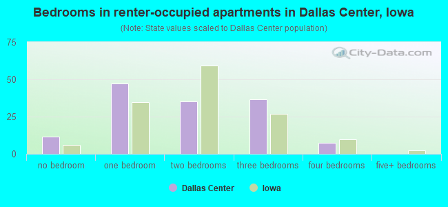 Bedrooms in renter-occupied apartments in Dallas Center, Iowa