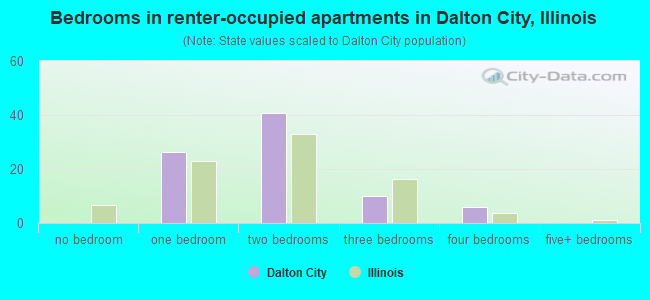 Bedrooms in renter-occupied apartments in Dalton City, Illinois