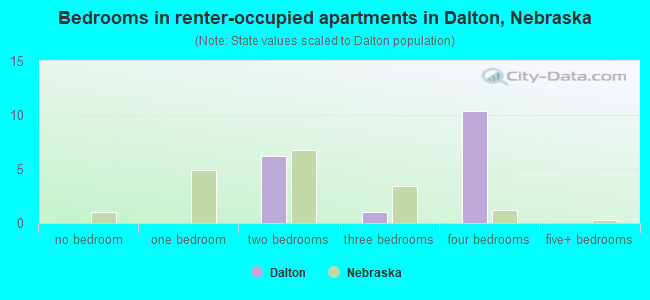 Bedrooms in renter-occupied apartments in Dalton, Nebraska