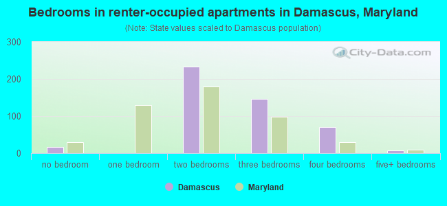 Bedrooms in renter-occupied apartments in Damascus, Maryland