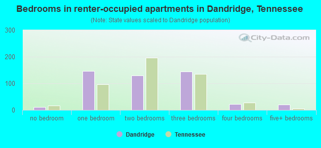 Bedrooms in renter-occupied apartments in Dandridge, Tennessee