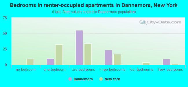 Bedrooms in renter-occupied apartments in Dannemora, New York