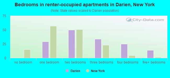 Bedrooms in renter-occupied apartments in Darien, New York