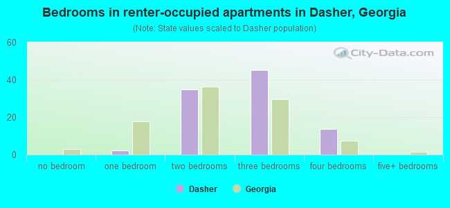 Bedrooms in renter-occupied apartments in Dasher, Georgia