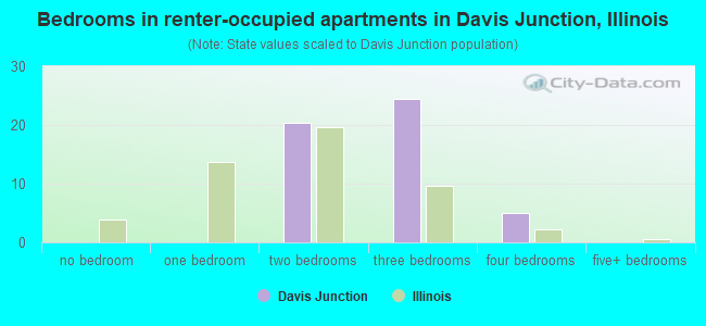 Bedrooms in renter-occupied apartments in Davis Junction, Illinois