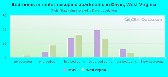 Bedrooms in renter-occupied apartments in Davis, West Virginia