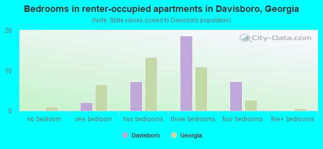Bedrooms in renter-occupied apartments in Davisboro, Georgia