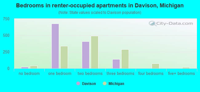 Bedrooms in renter-occupied apartments in Davison, Michigan