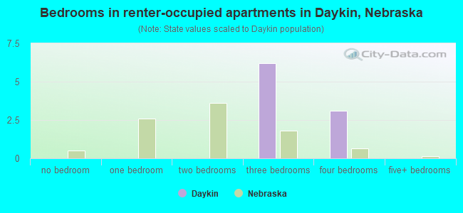 Bedrooms in renter-occupied apartments in Daykin, Nebraska