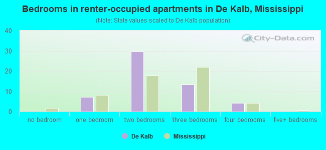 Bedrooms in renter-occupied apartments in De Kalb, Mississippi