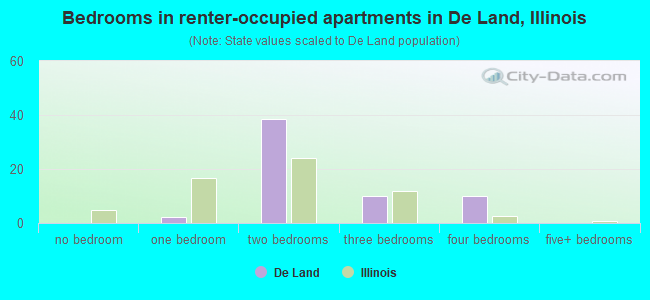Bedrooms in renter-occupied apartments in De Land, Illinois