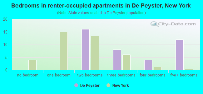Bedrooms in renter-occupied apartments in De Peyster, New York