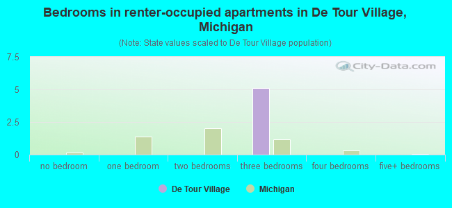 Bedrooms in renter-occupied apartments in De Tour Village, Michigan
