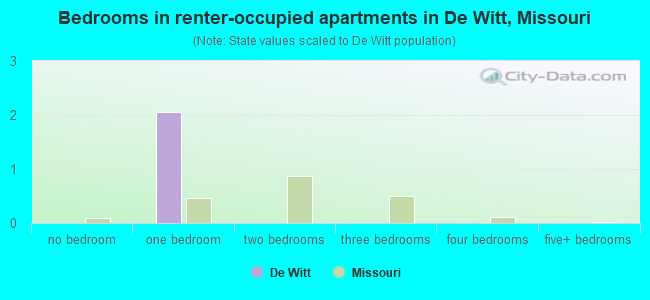 Bedrooms in renter-occupied apartments in De Witt, Missouri