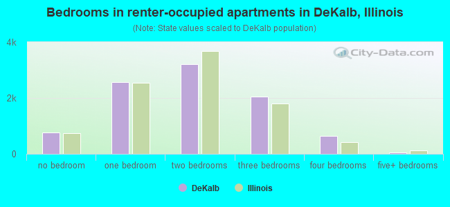 Bedrooms in renter-occupied apartments in DeKalb, Illinois