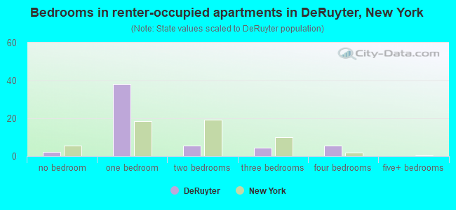 Bedrooms in renter-occupied apartments in DeRuyter, New York