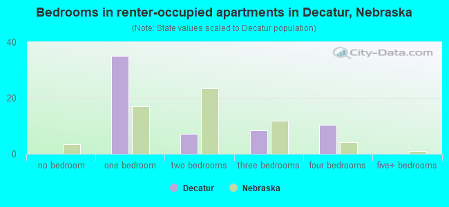 Bedrooms in renter-occupied apartments in Decatur, Nebraska