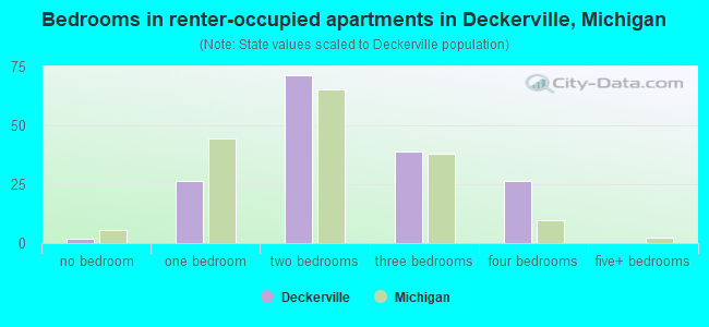 Bedrooms in renter-occupied apartments in Deckerville, Michigan