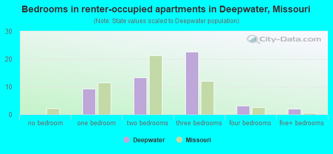 Bedrooms in renter-occupied apartments in Deepwater, Missouri