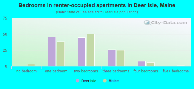 Bedrooms in renter-occupied apartments in Deer Isle, Maine