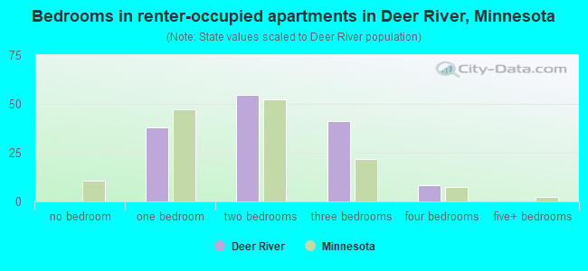 Bedrooms in renter-occupied apartments in Deer River, Minnesota