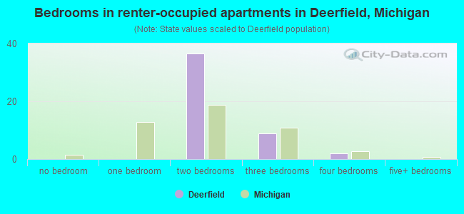Bedrooms in renter-occupied apartments in Deerfield, Michigan