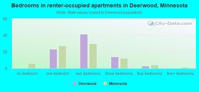 Bedrooms in renter-occupied apartments in Deerwood, Minnesota